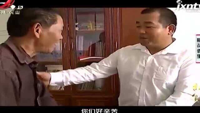 靠着种蔬菜就能赚大钱?小镇村民现在争先返乡 把蔬菜种