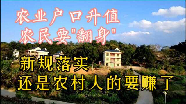 农业户口升值,农民要“翻身”?新规落实,还是农村人的要赚了