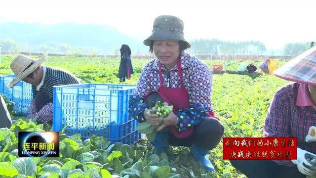 连平县溪山镇东水村:帮扶结硕果 脱贫暖人心