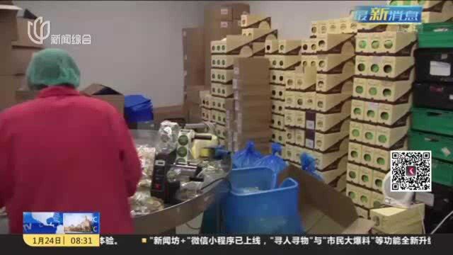 繁琐手续致英欧贸易额大减 小企业被迫停止进出口业务