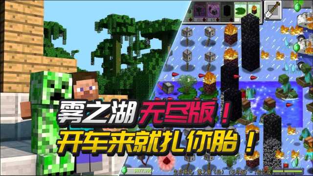 我的世界植物大战僵尸:雾之湖无尽版!开车来就扎你胎!