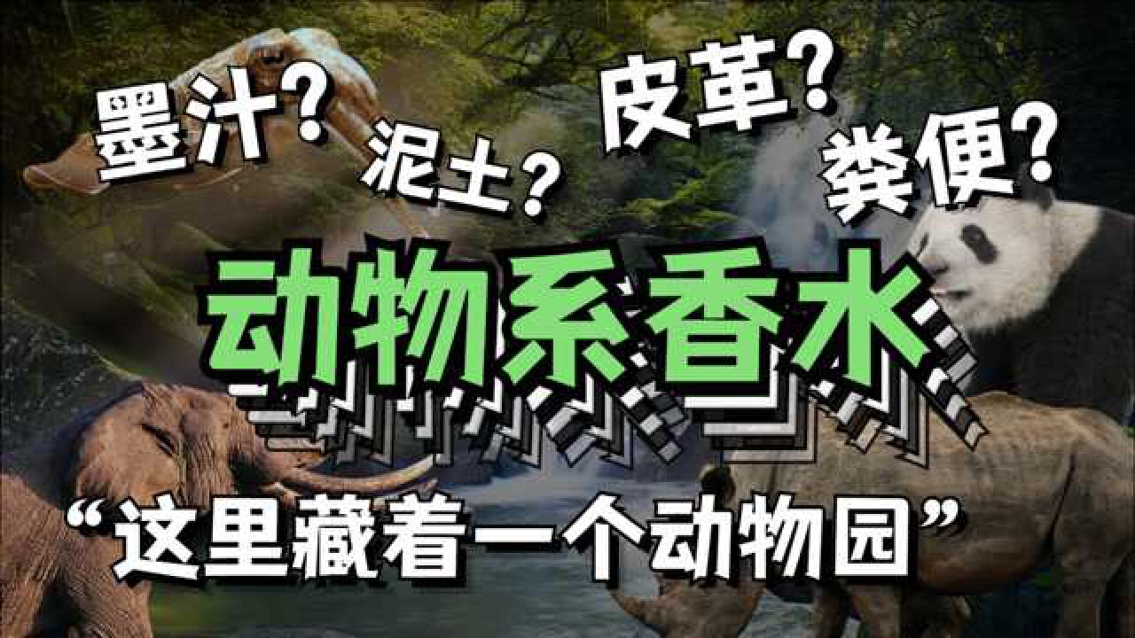 这里藏着一个动物园——动物学家香水测评