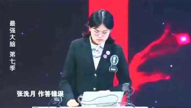 最强大脑:王心冉绝地反击超过了对手,王祖蓝都为她感到骄傲