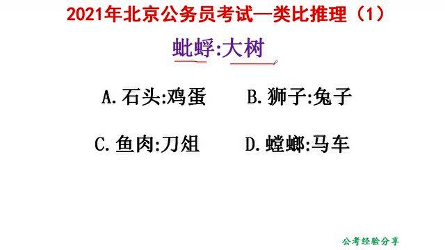 2021年度北京公务员考试,类比推理1,蚍蜉和大树,是什么关系呢