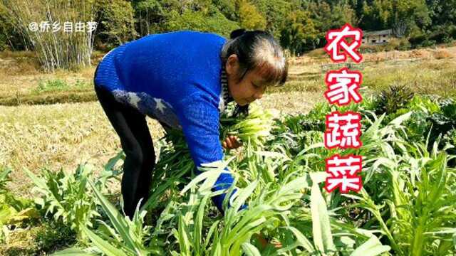 农家蔬菜配山间别墅!平平凡凡与世无争,幸福简单小日子