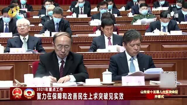 “十三五”时期及2020年工作回顾