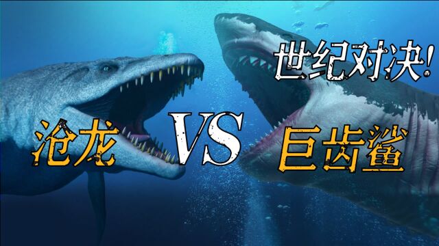 海底最强生物到底是谁?巨齿鲨遇到沧龙,看看鹿死谁手!