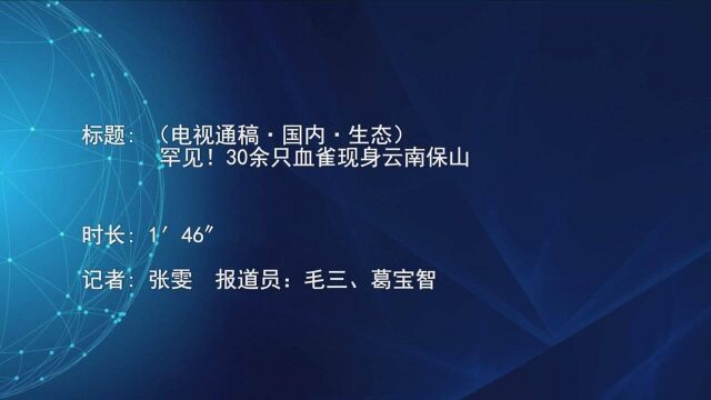 (电视通稿ⷥ›𝥆…ⷧ”Ÿ态)罕见!30余只血雀现身云南保山