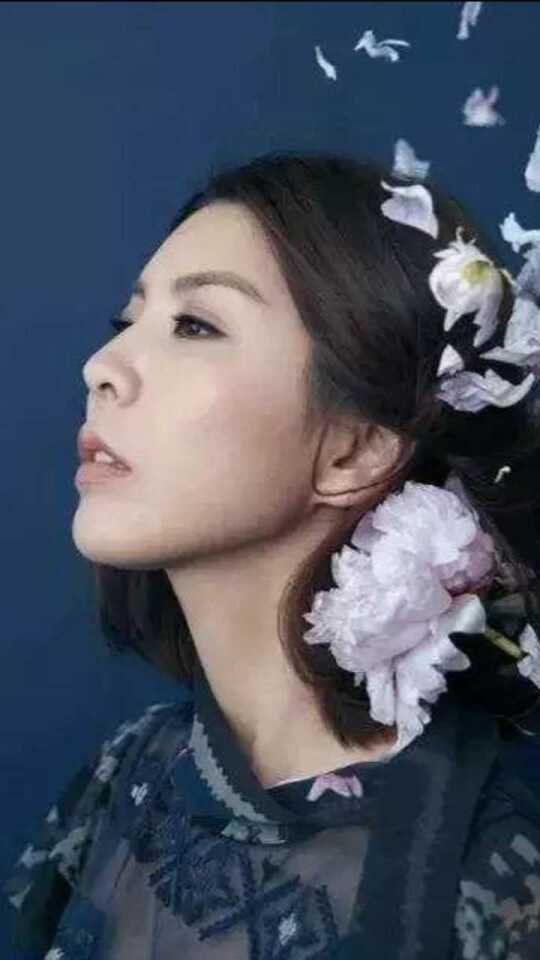 Thumbplayer Poster Plugin Image