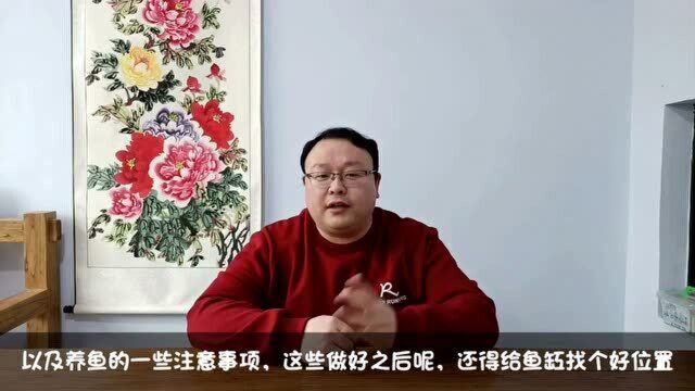 开业大吉发大财,吉祥物“鱼缸”得摆好,选缸选鱼选位置(二)