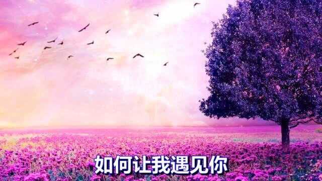 一首网络情歌《一棵开花的树》