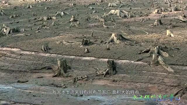 【水土保持公益广告】什么是水土流失