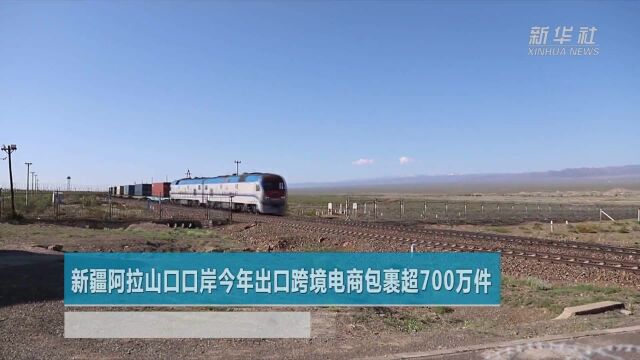 新疆阿拉山口口岸今年出口跨境电商包裹超700万件