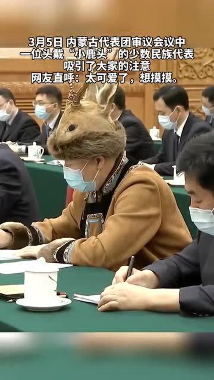 没想到你竟然是这样的人大代表鄂伦春族的傻狍子帽在开会时抢镜这么