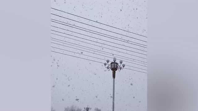 河北张家口突然下起鹅毛大雪,网友:这是下雪还是“下鹅”