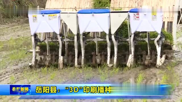 岳阳县:“3D”印刷播种 促推水稻增产