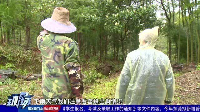 老韩说:评论新河浦砍树事件