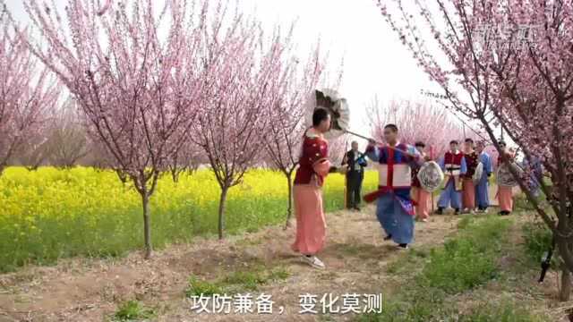 河北邢台:梅花林里习练非遗