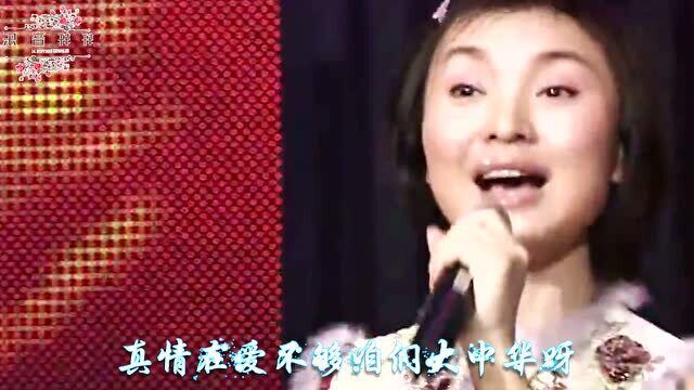 陈红演唱《喜乐年华》,赶上好时代,过上好日子,唱起欢乐的歌!