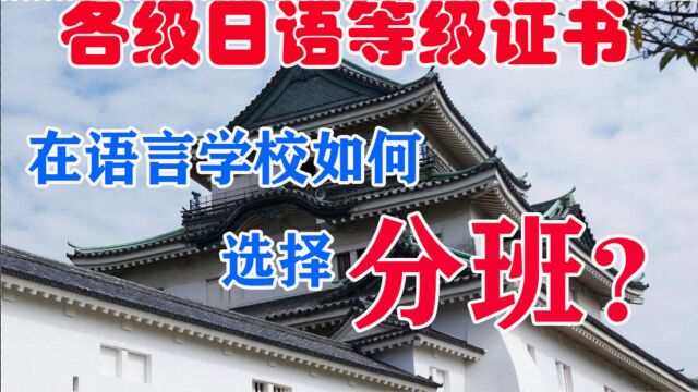 【精英日本语学校】考出日语等级证书,语言学校该如何选择分班?