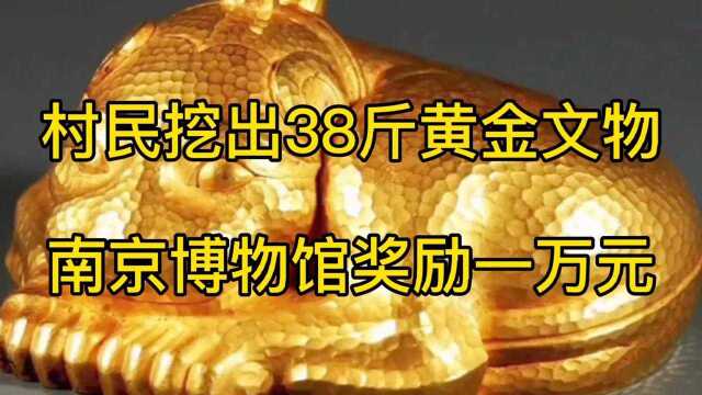 村民挖出38斤黄金文物,获南京博物馆奖励一万元