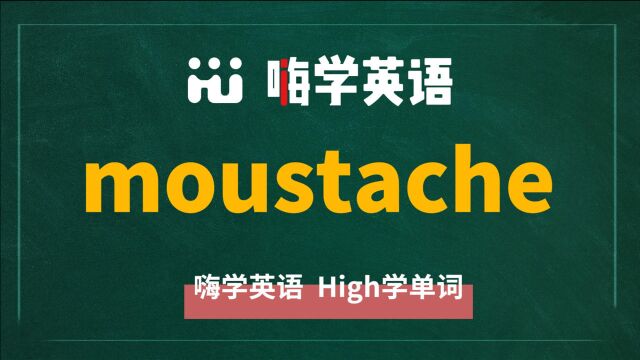 一分钟一词汇,小学、初中、高中英语单词五点讲解,单词moustache讲解