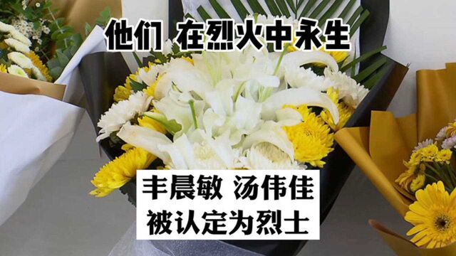 上海消防英雄丰晨敏、汤伟佳同志被评为烈士