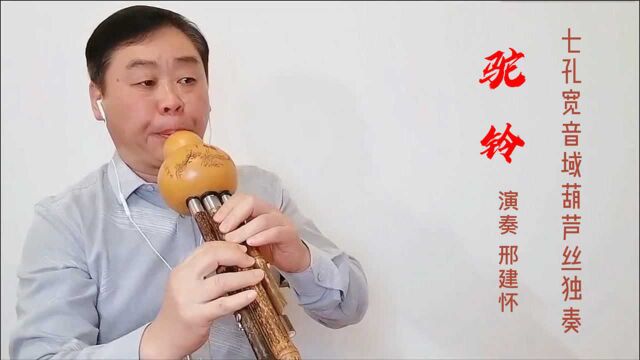 七孔宽音域葫芦丝独奏《驼铃》,演奏者邢建怀