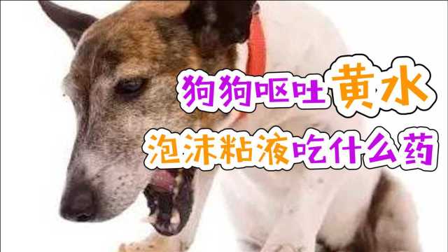 狗狗呕吐黄水泡沫粘液吃什么药