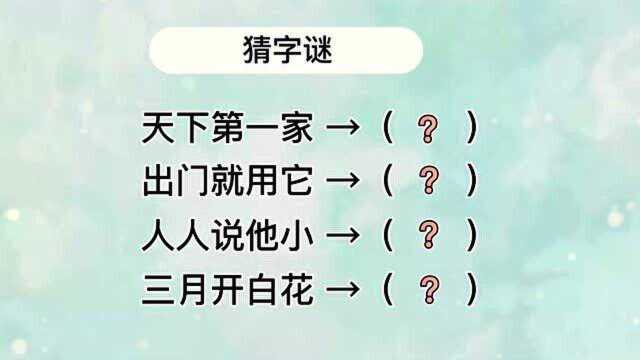 四个字谜:天下第一家,出门就用它,人人说他小,三月开白花?