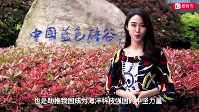 全国唯一“海洋科技华尔街”,原来在青岛!