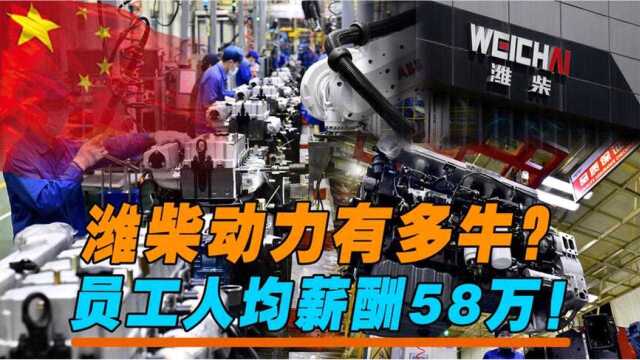 潍柴动力有多牛?打破国外关键技术垄断,员工人均薪酬58万!