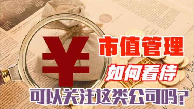 什么是市值管理?我们该关注这类公司的投资机会吗