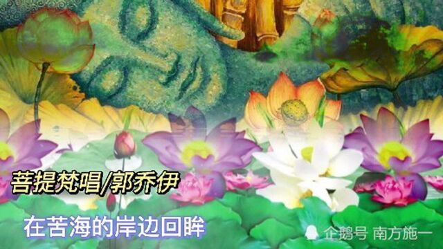 《菩提梵唱》世间的浮躁,抵不过一声梵音