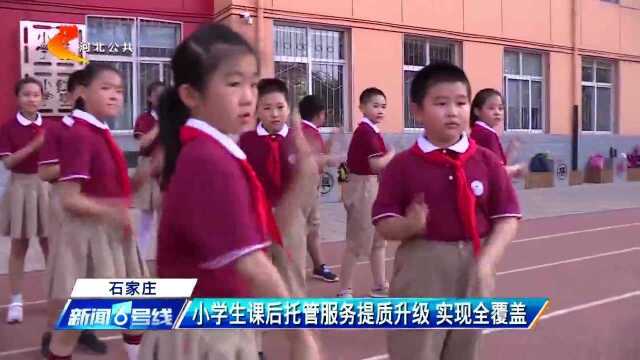 石家庄:小学生课后托管服务提质升级 实现全覆盖