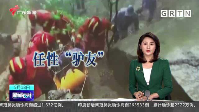 山东临沂 “驴友”登山遇险被困 救援人员冒雨3小时营救