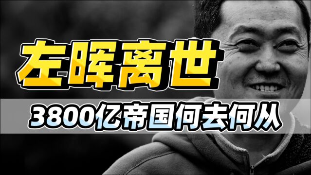 年仅50岁千亿身价!留下3800亿“帝国”何去何从?地产首富左晖离世