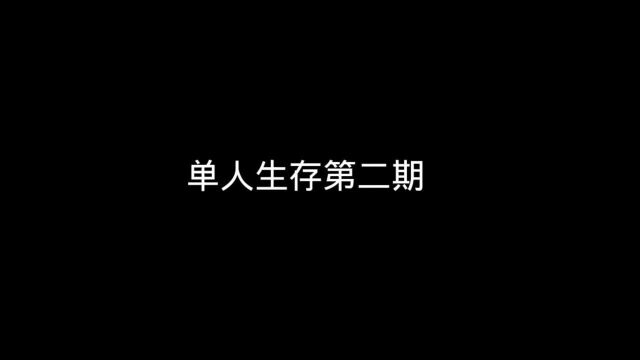 单人生存第二期(地图种子:27880684)