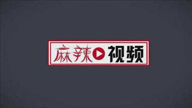 首届可持续发展中国峰会:宝马集团推动未来绿色出行!