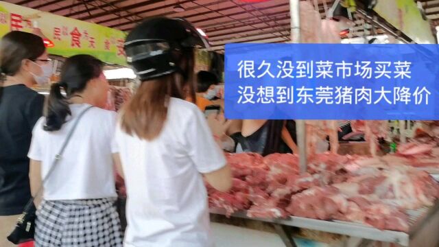 很久没到菜市场,没想到东莞猪肉大降价了,价格低到不敢相信