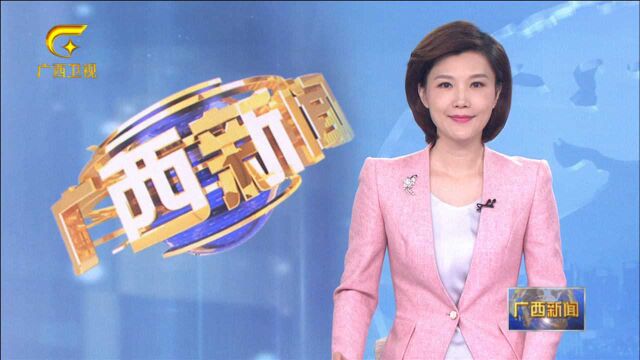 广西:从“引资”到“选资” 以高质量招商助力高质量发展