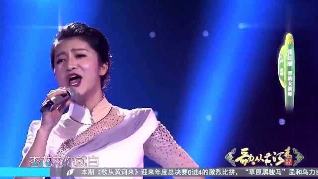 歌手张红丽献唱《桃花红杏花白》,曲调优美让人陶醉