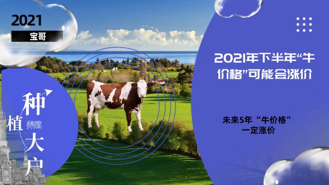 2021年下半年“牛价格”可能会涨价,未来5年“牛价格”一定涨价