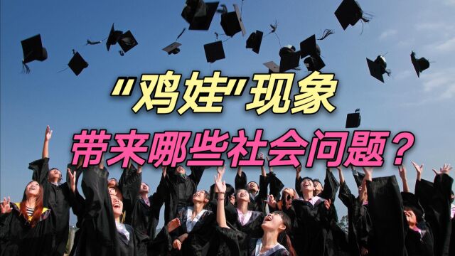 教育洞察:“鸡娃”一词起源哪里?全民“鸡娃”带来哪些问题?