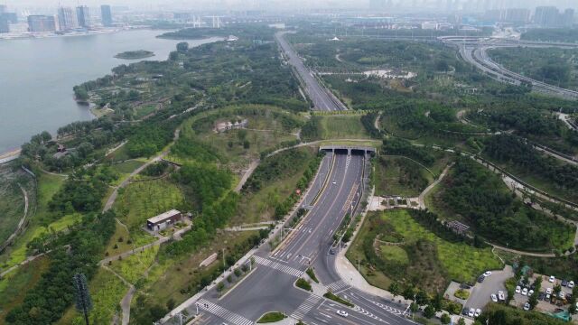 婉若仙境郑州龙湖湿地公园