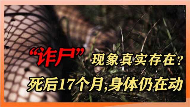 澳大利亚:“诈尸”现象确实存在,人死亡后17个月,身体仍在动