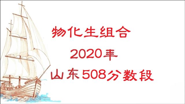 物化生组合可报专业各院校山东录取最低分(505510分数段)