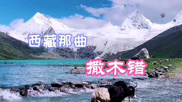 神山圣湖,只要来了撒木错,都说愿意在这里放牛一辈子!