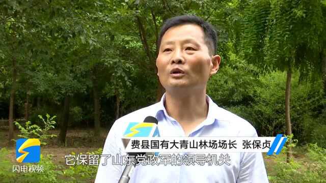 “绿色林场的红色印迹”媒体采风活动走进费县大青山 重温英勇悲壮的突围战