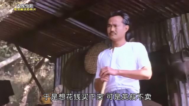 甩皮鬼林正英早期经典鬼片这部电影另有深意结局令人唏嘘